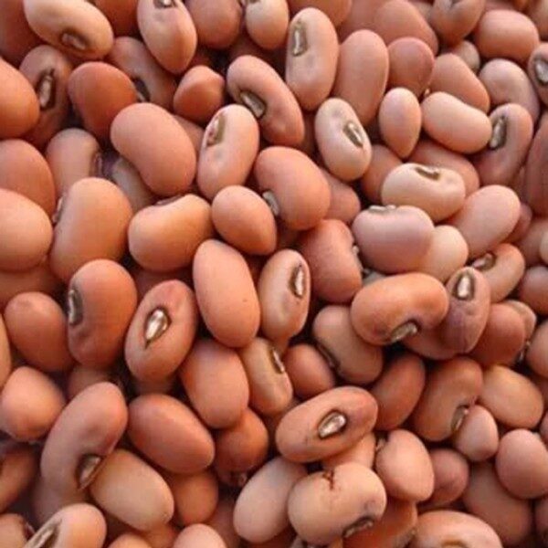 Erra Bobbarlu (Red Cowpeas) 500gm