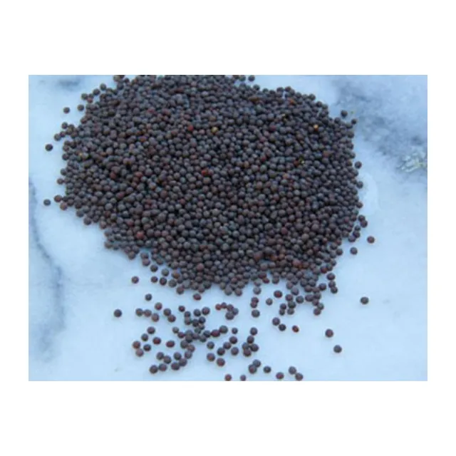 Mustard Seeds (Raayaan) - 100 grms
