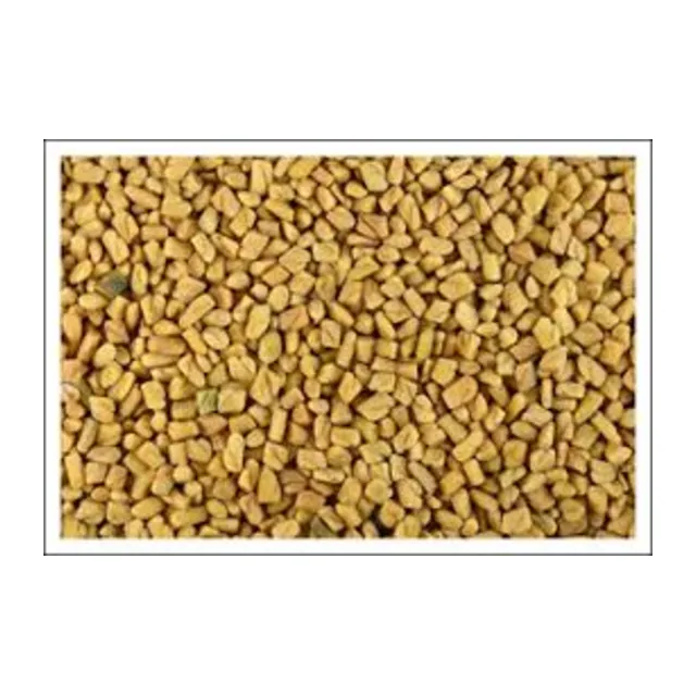 Methi FenuGreek- 100g