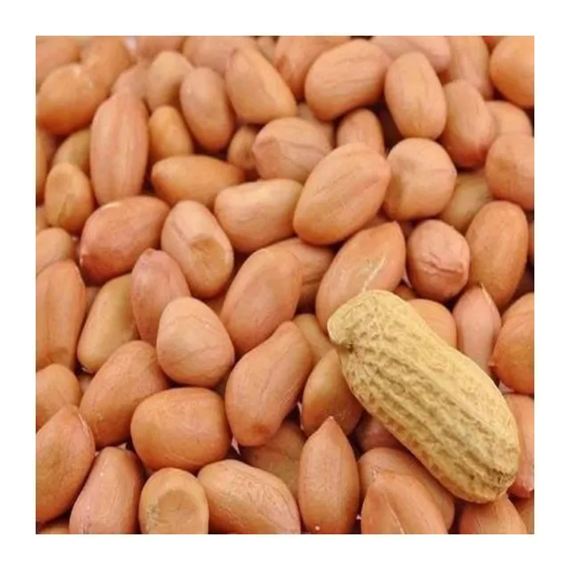 Peanut - 500 Gr