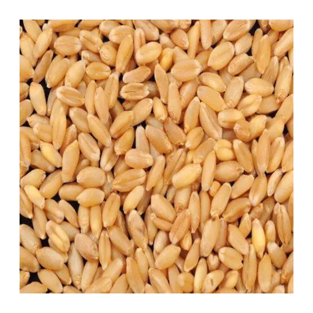 Wheat - 1 kg